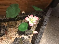 -菜园坝水果市场