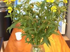 -同步齿科·数字化正畸种植口腔中心(珠海店)