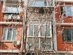 -北京大学燕东园