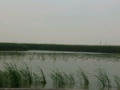 -湖鲜楼