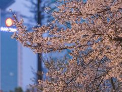 -西北湖绿化广场