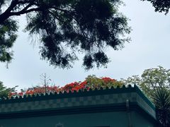 -深圳国际园林花卉博览园