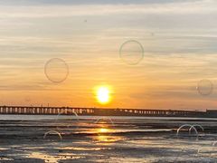 -宝安西湾红树林湿地公园