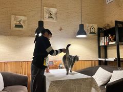 -隅cafe(傅厚岗店)