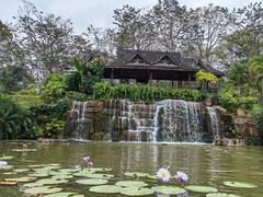 -中国科学院西双版纳热带植物园