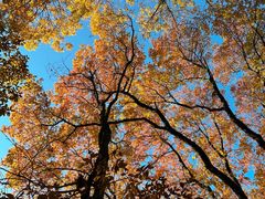 -西湖风景区十里琅珰-五云山