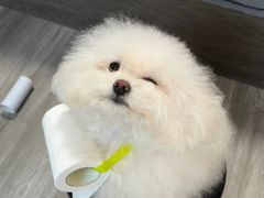 -爱侣宠医·鹦鹉专科·小型哺乳类·异宠专科(灵石路店)