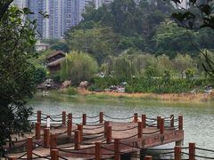 -广西壮族自治区药用植物园