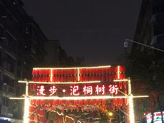 -泡桐树街