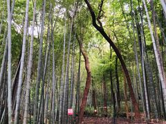 -杭州西湖风景名胜区-三生石