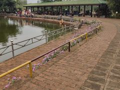 -侯臣咖啡文化村