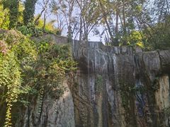 -西双版纳原始森林公园