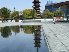 -龙华素斋(龙华路店)