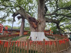 -新安江山水画廊风景区