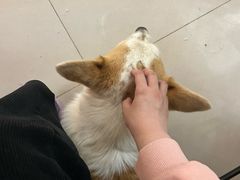 -平行世界·猫咖(首经贸店)