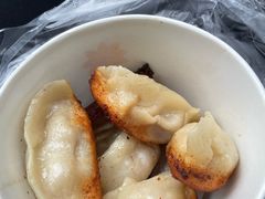-洋洋锅贴