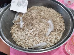 秘制盐焗乳鸽-侠成水上农庄(工业大道店)