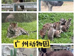 -广州动物园