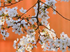 -龙美术馆西岸馆-停车场