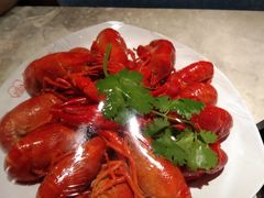 -季季红火锅(新建新城吾悦店)