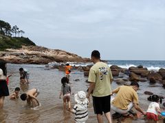 -广东惠东海龟国家级自然保护区
