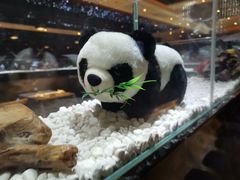 -红辣椒·川菜·火锅(张杨路店)