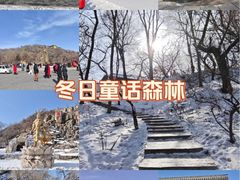 -北山公园