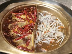 菌汤鸳鸯锅-小龙坎火锅(香港中路店)