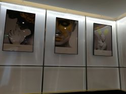 -崇尚GAVIN STYLE臻选