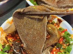 -水巷子·巴掌腰片重庆火锅(巧家店)