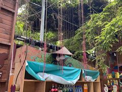 -呀路古热带植物园