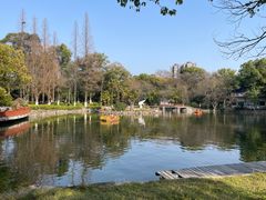 -沙市市中山公园