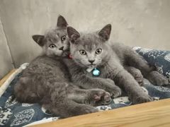 -么么咖啡(燕郊店)