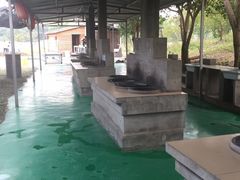 -梁鸿国家湿地公园
