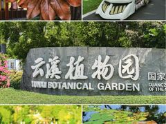 -云溪植物园