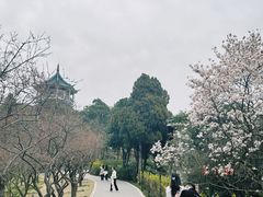 -无锡梅园公园