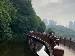 -重庆彩云湖湿地公园