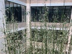 -真爱中国餐馆·年华店(朱雀大街店)