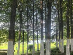 -滨湖塘西河公园