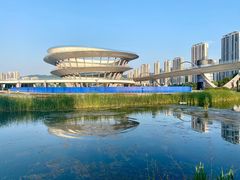 -梅溪湖城市岛