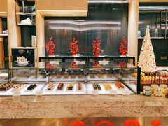 -广州奥园喜来登酒店