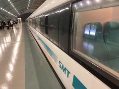 -龙阳路磁悬浮列车总站-停车场