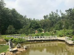 -深圳仙湖植物园