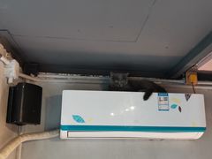 -猫儿山۰猫主题餐厅