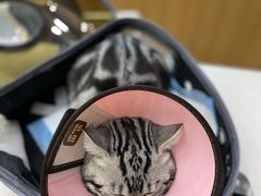 -联合动物医院(光谷诊疗中心)