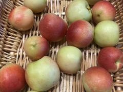 -良子健身(望京SOHO店)