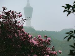 -梧桐山风景名胜区