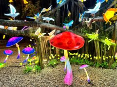 -台山颐和温泉城