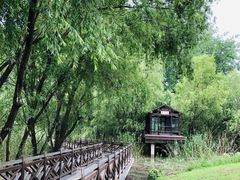 -鱼嘴湿地公园