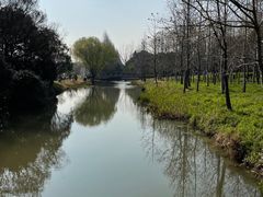 -上海滨江森林公园